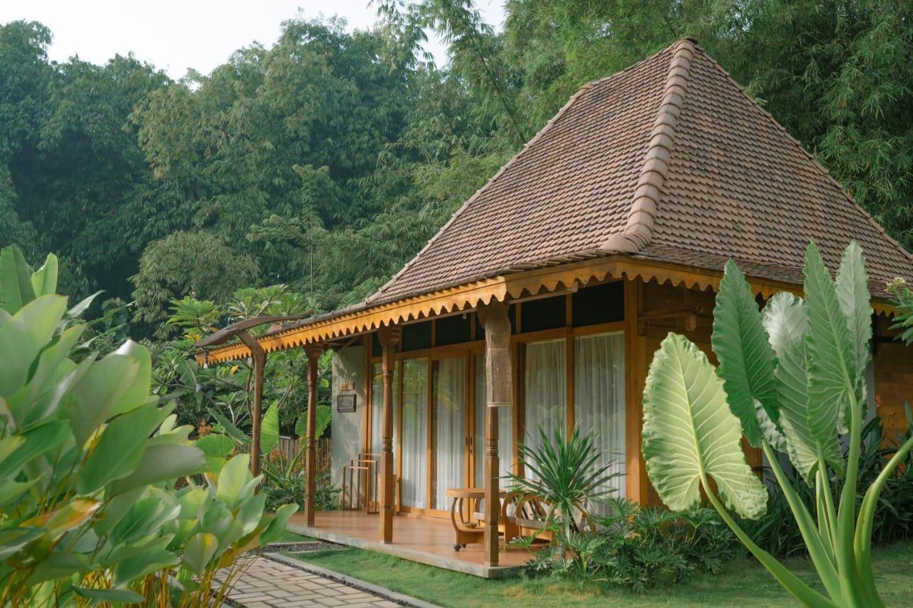 Chandaka Borobudur Magelang Εξωτερικό φωτογραφία